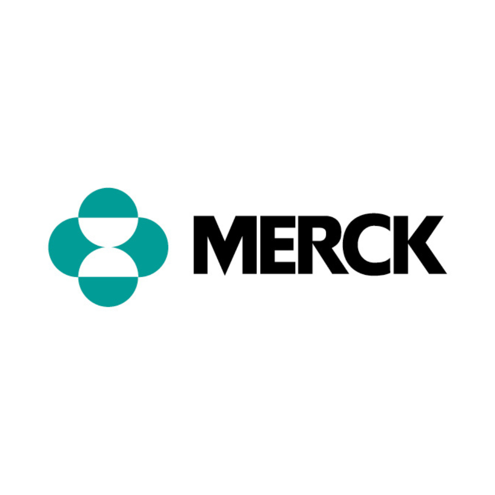 Merck Teambuilding